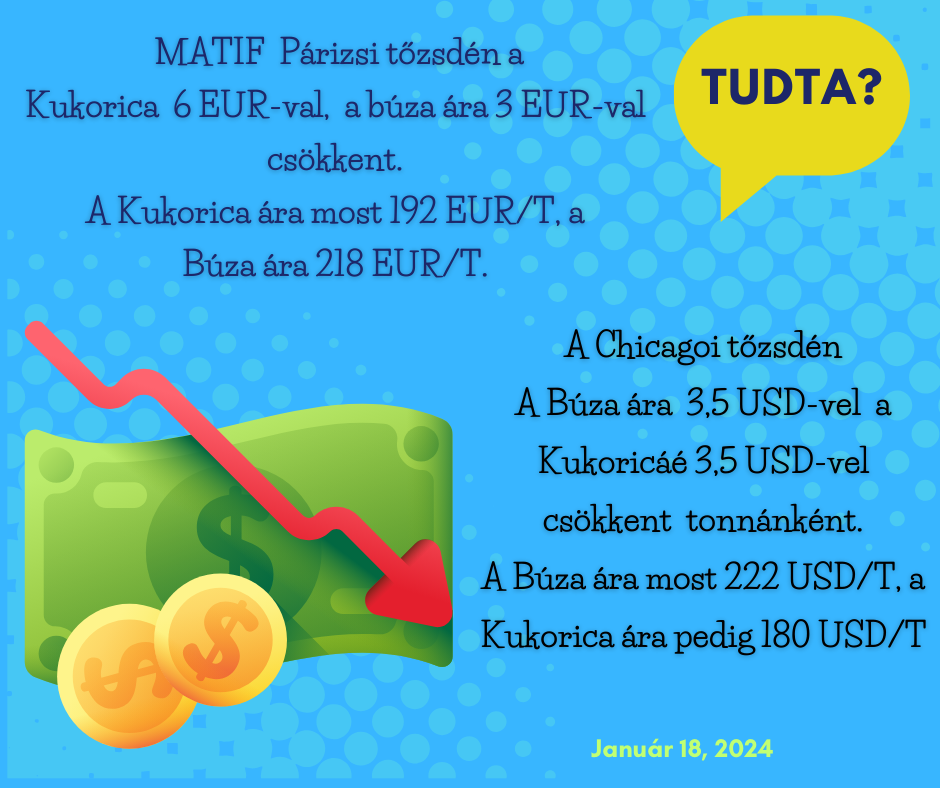 20240118 tudta