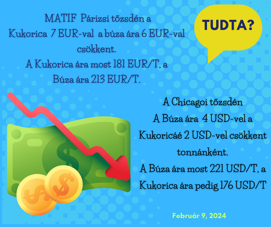 Tudta Tőzsde (1)