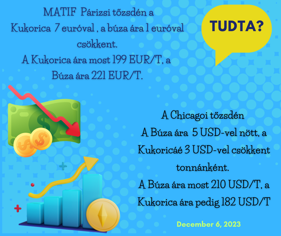 Tudta Tőzsde (4)