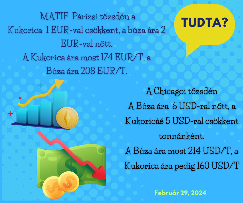 Tudta20240229